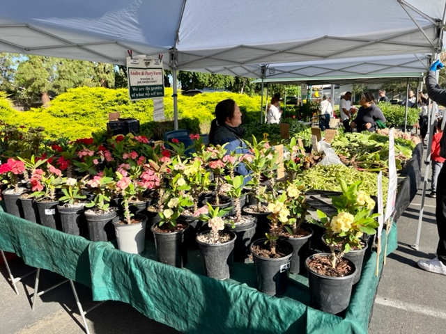 CannadyWill's tweet photo. The Pocket-Greenhaven Community Association was honored to participate in the opening of @elkslodge6 local #Pocket Farmers Market.  Vic Cima &amp; the rest of the Elks Lodge members did a great job of putting this event together.Ty to @RickJenningsD7 &amp; staff for their support. https://t.co/Z7mjzvs1Wx