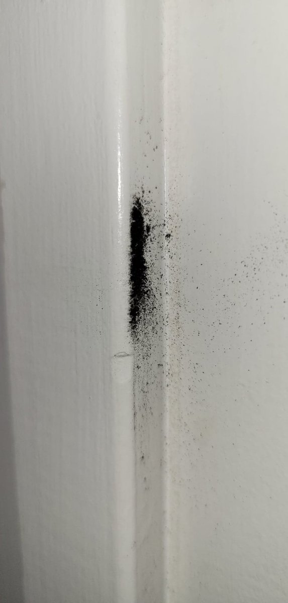 Artificial Delirium Podcast tweet media