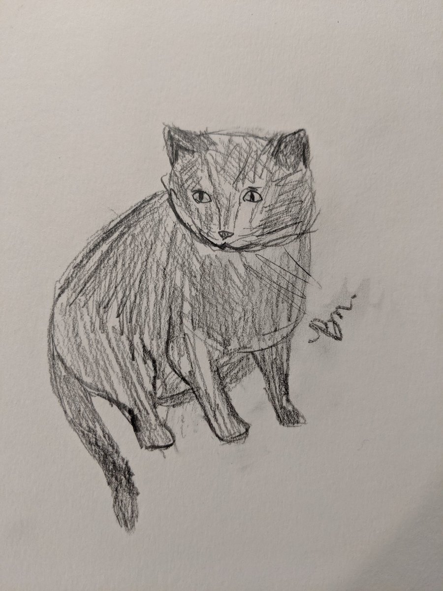 LilpaintedR's tweet photo. A drawing I did of my precious cat, Neo.

#cat #drawing #kitty #art #coloredpencil #greycat #kittyman https://t.co/iHXXApkha2