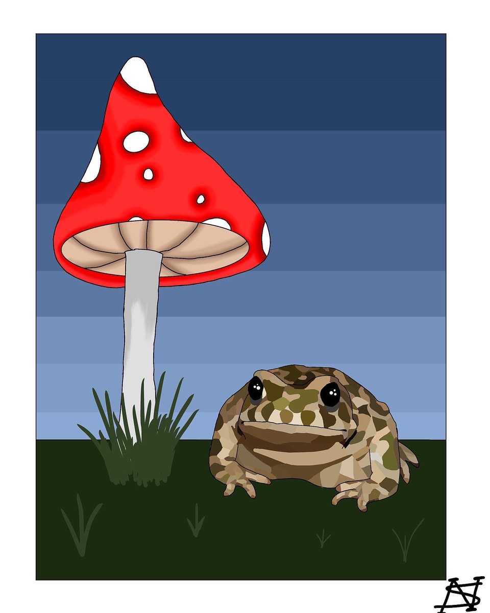 madame_fly's tweet photo. Hey y’all! It’s been a while so here’s my latest drawing I’ve done! It’s called a European tree toad :)
#europeantreetoad #toad #mushroom #magical #nature #lovely https://t.co/xEUEkiqN79