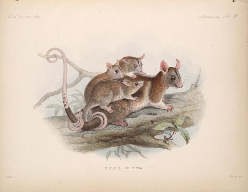 A #MothersDay reminder to the caretakers who’ve always had our backs: we’ve got yours, too. 💙