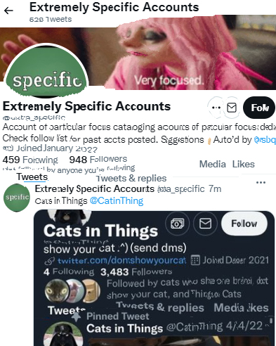 cats being scrunched tweet media