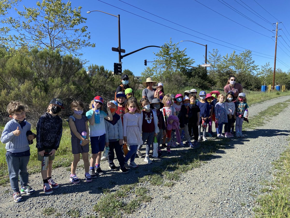 It all started with our weekly walking fieldwork in our community to explore our natural ecosystem #illuminatingournaturalneighbors #Kindergarten #openwalledlearning #placebasedlearning #kidsThrive #Designthinking #PBL #shareyourlearning <a href="/Design39Campus/">Design39Campus</a> <a href="/jaymiesacra/">Jaymie</a>
