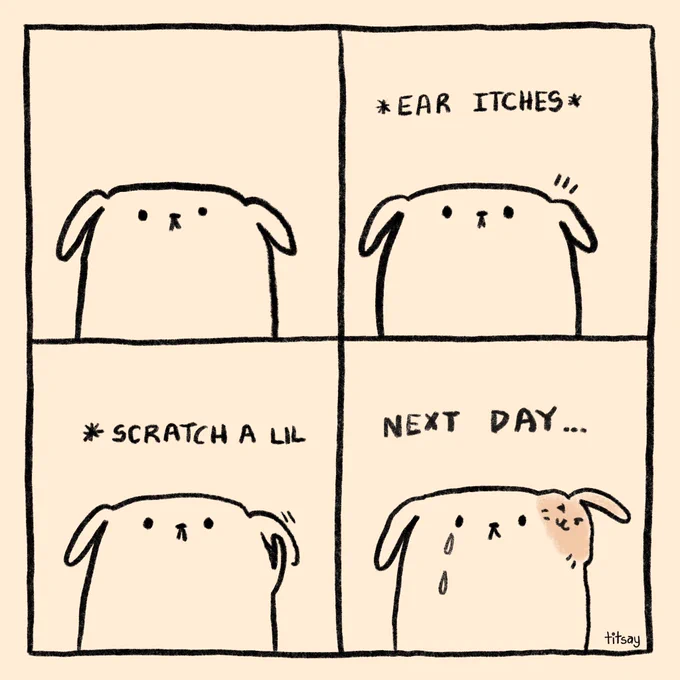 life lately 