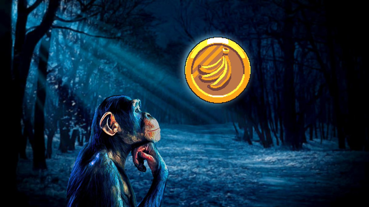 What we're working on at the moment for the <a href="/HonkugaApes/">Honkúga Apes 🦍 | SOLD OUT</a> family...

-New Roadmap (coming in a week)
-Game in development (Further benefits from this to be revealed)
-Breeding in its own unique way on #Solana 
-Further utility for CHIQUITA before injecting LP!

#HAGMI