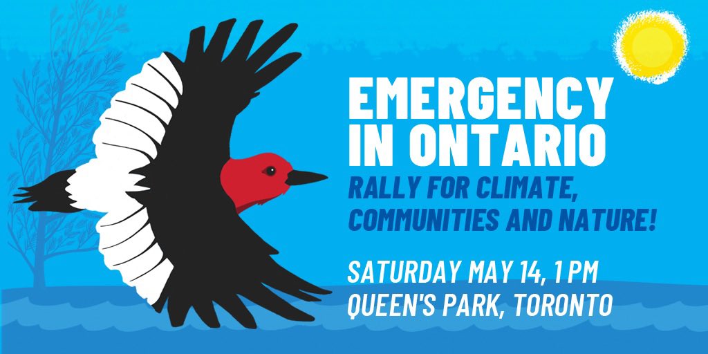 Ontario’s provincial government has been harmful for the climate, for Ontarian communities, and for the environment for the past four years - it’s time to rally!

environmentaldefence.ca/emergency-in-o…

#EmergencyinOntarioRally
#VoteForTheEnvironment
#ClimateJusticeNow
#YourstoProtect