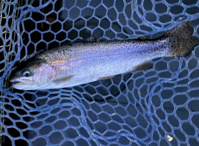 デイ&amp;ナイワナ&amp;朝 