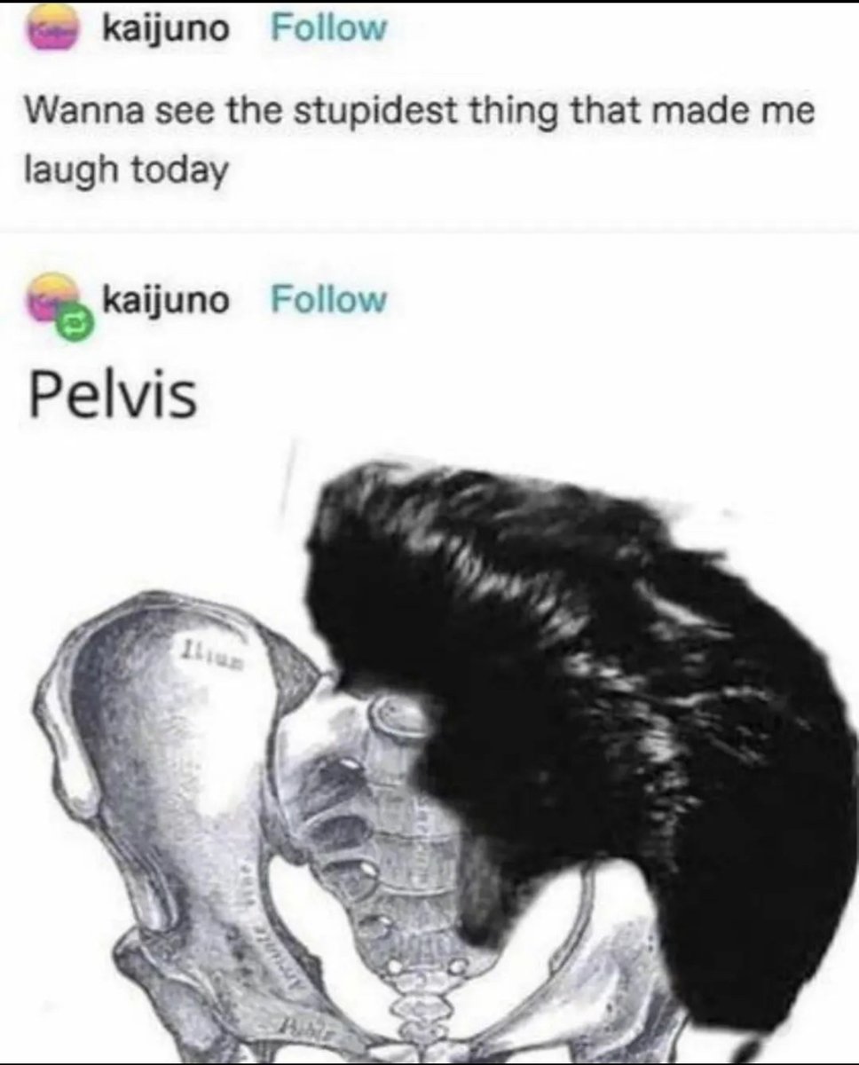 RespectfulMemes's tweet photo. https://t.co/ByhYdB6bHS