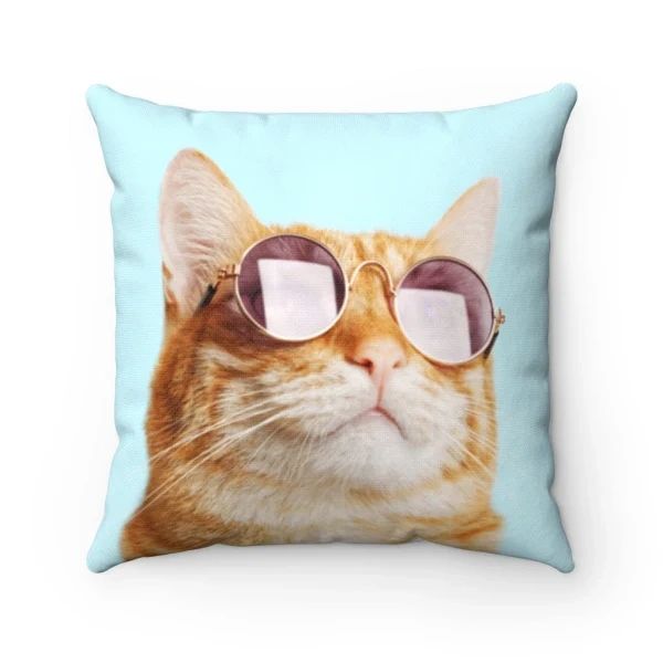 hdr_home's tweet image. Cat is Always Right Square Pillow - 14&quot;x14&quot;

hdrhome.services/shop/ols/produ…

#pets #decor #interiordesign