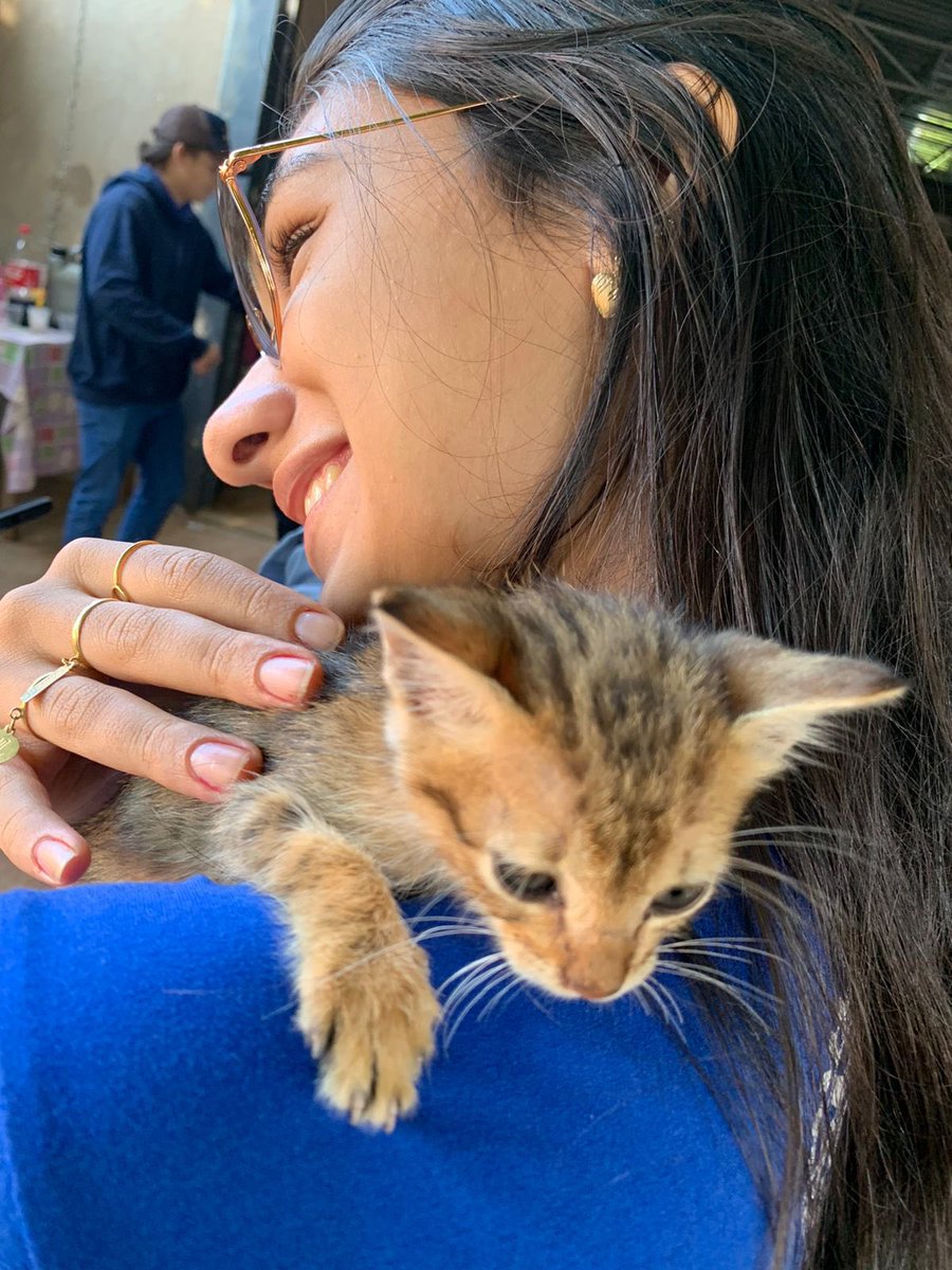 icfjss's tweet photo. interact é amor! 💙 https://t.co/S2HkhUIDlH