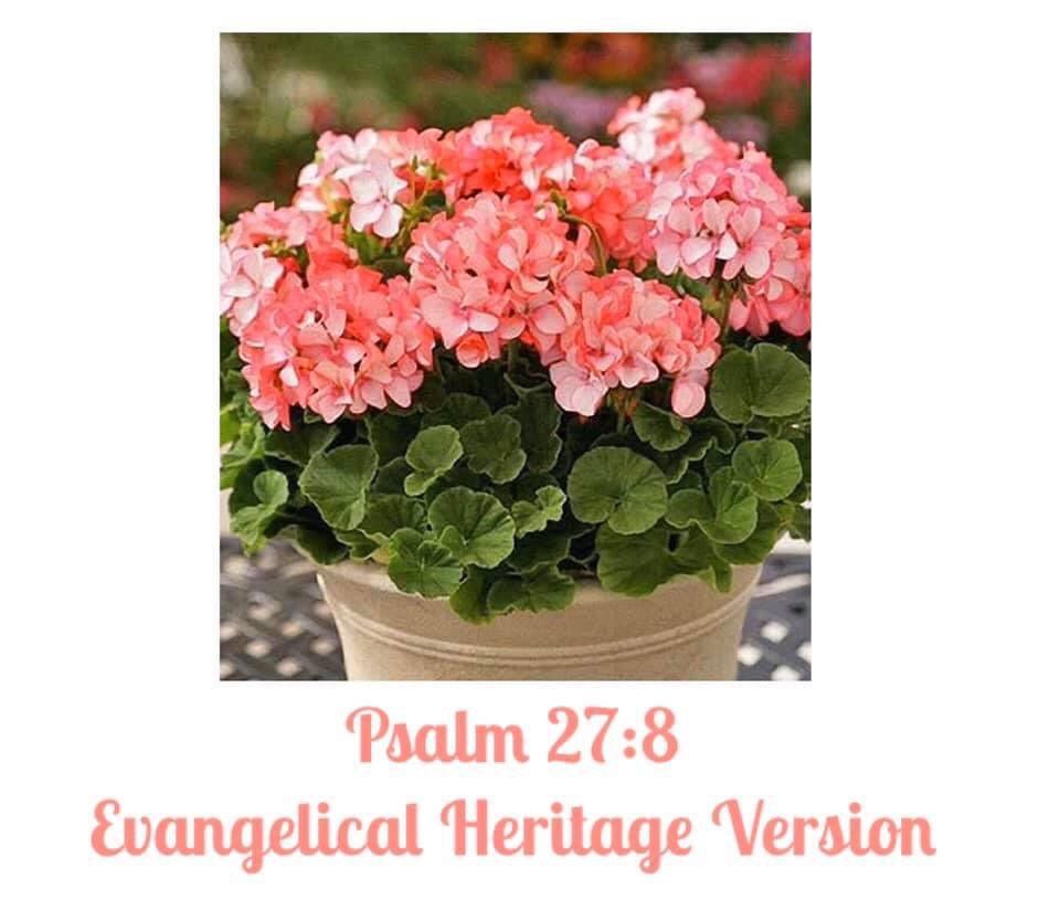 When you say, “Seek my face,” my heart says to you, “Your face, Lord, I will seek.”