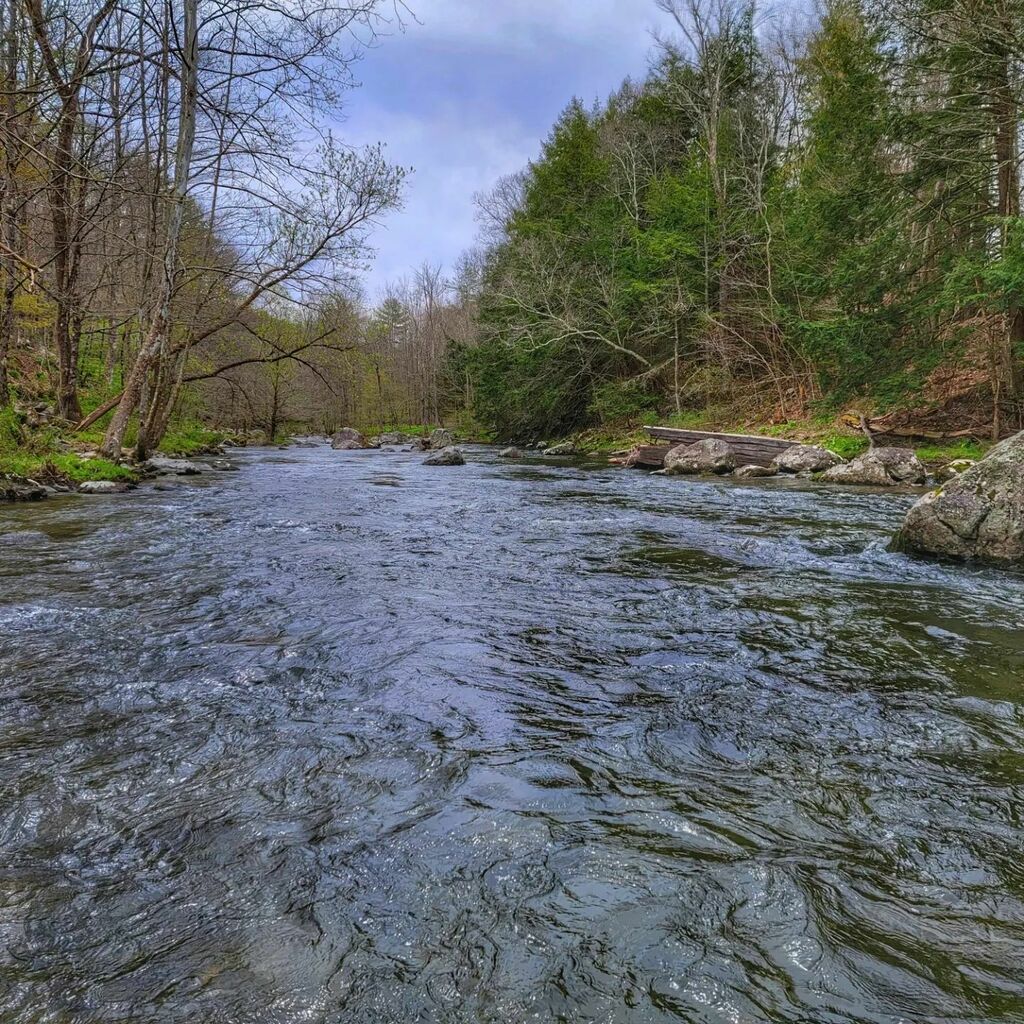 PaulsGuide's tweet photo. Got out this morning for a little stream therapy.

#paulsguideservice #echoflyfishing #dsrguide #trout https://t.co/Vgcm5WESoy https://t.co/Jzo8qimKl8