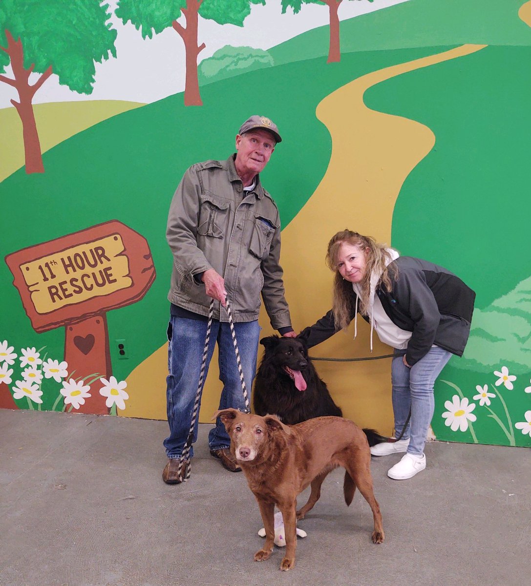 We adopted these two today