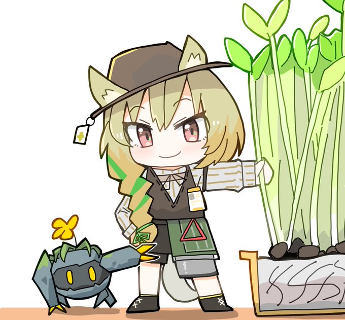 豆苗 