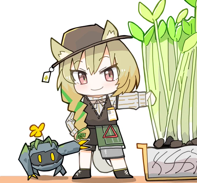 豆苗 