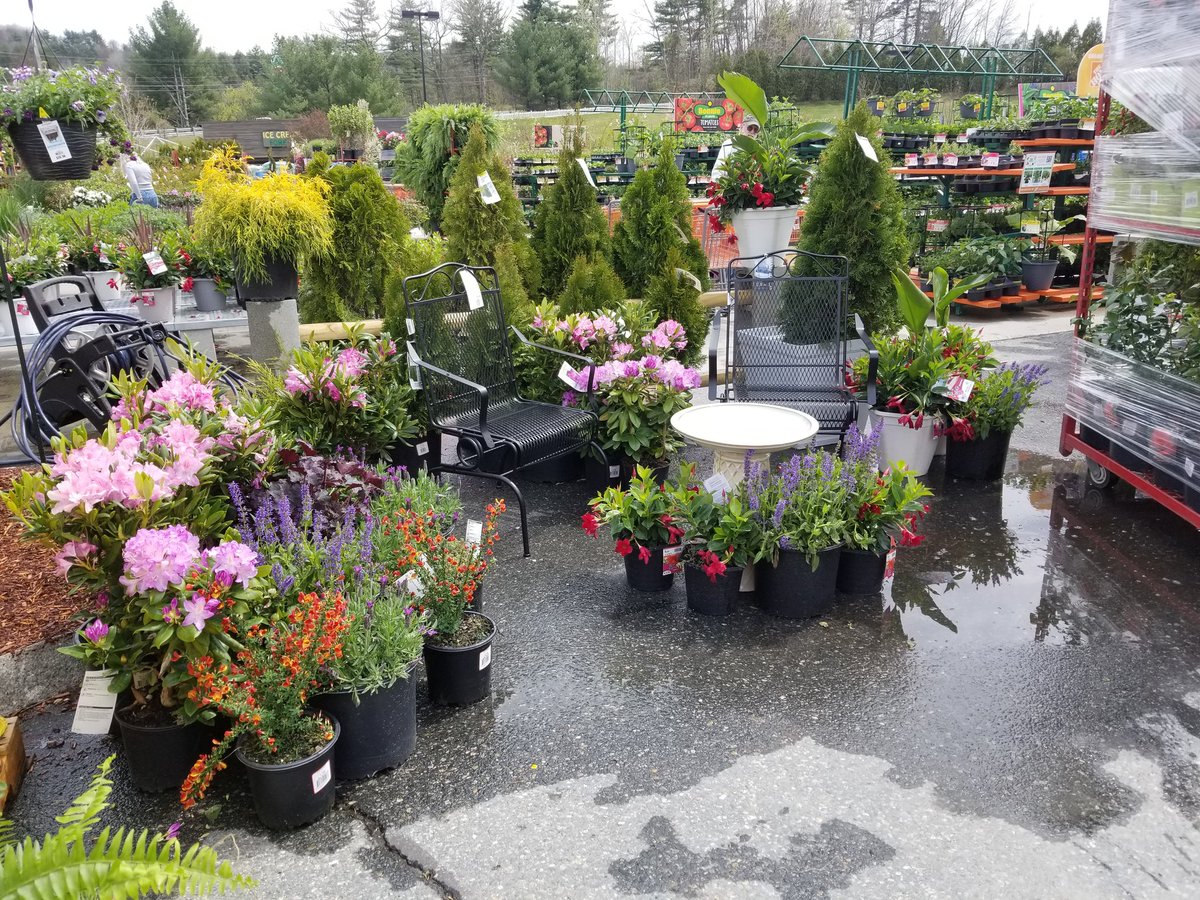 LynnieB14's tweet photo. So good to have the kids workshop back in the store! Live goods dressed up and ready for a busy weekend! #lovemyjob @HomeDepotWLeb https://t.co/g18kxmBWeO