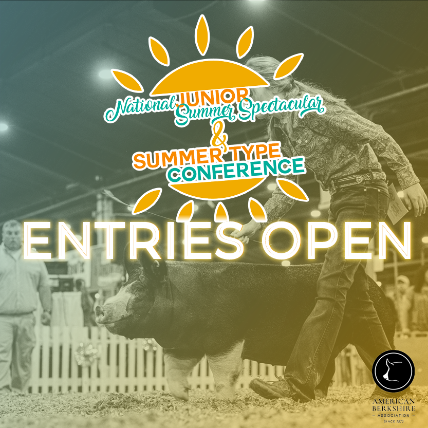 Entries are now open for the 2022 Summer Type Conference! The ABA is excited to join the NJSA and NSR in Louisville July 3-9. Entries close May 25. 

Find STC info at: americanberkshire.com/summer-type-co…

#AmericanBerk #STC22