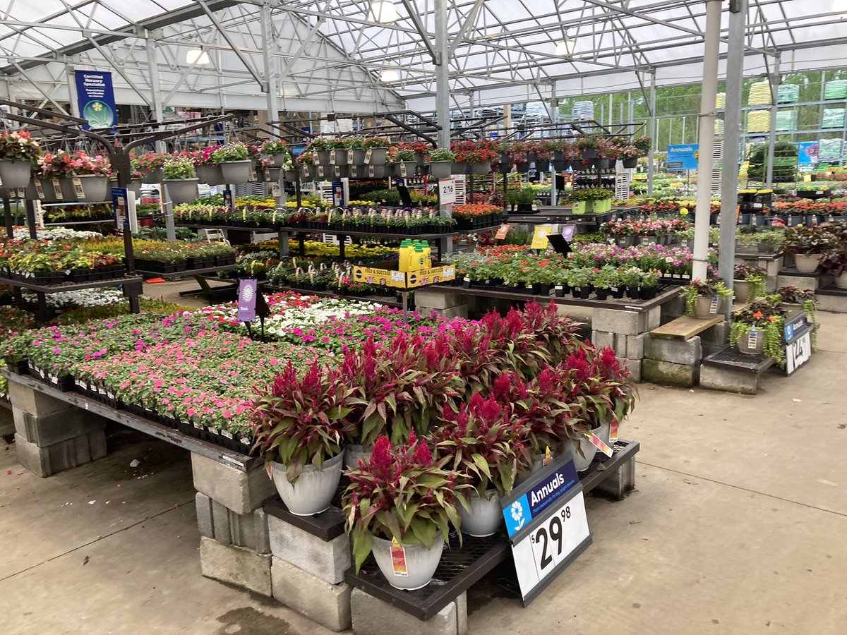 Kate11589687's tweet photo. Rain rain go away, come back some other day 🥺Happy Mother’s Day! 🌧💔🌷            #Lowes2589 #Plantpartners #MothersDay2022 https://t.co/lPA6QNzdap