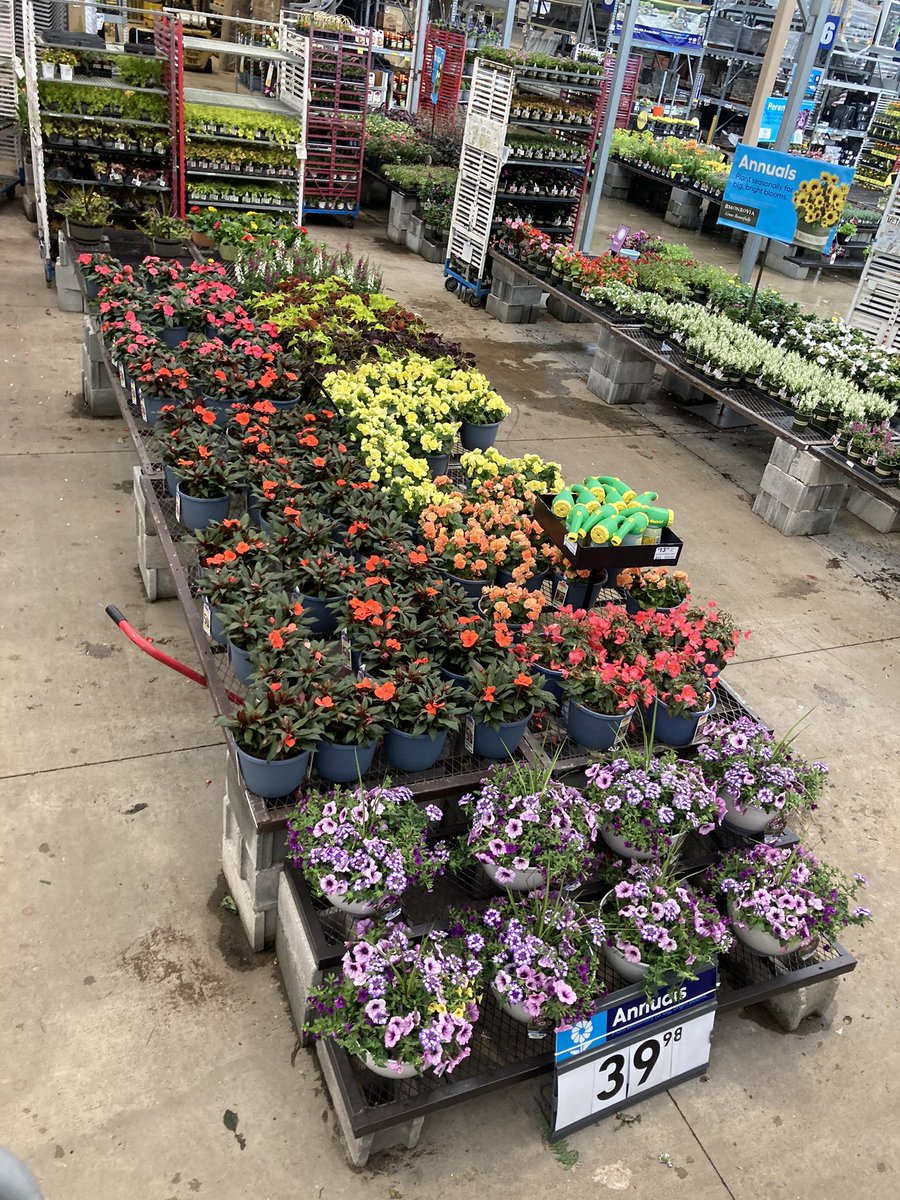 Kate11589687's tweet photo. Rain rain go away, come back some other day 🥺Happy Mother’s Day! 🌧💔🌷            #Lowes2589 #Plantpartners #MothersDay2022 https://t.co/lPA6QNzdap