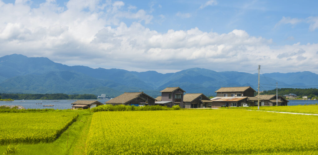 howtotokyo's tweet photo. Akiya banks are databases of vacant homes in Japan where owners and local governments can list properties for sale and buyers can search for #vacanthomes to buy, often at very low prices. Here are links to #akiya banks for all of #Japan's 47 prefectures. https://t.co/zWL3w51X3c https://t.co/ZHTJjX0l97