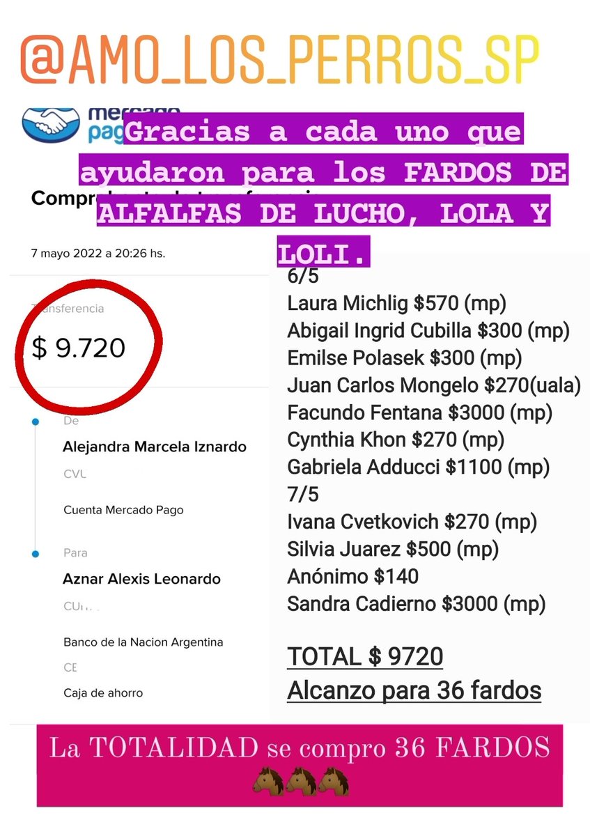 cotelaichaco's tweet photo. Gracias inmensa a cada uno que ayudaron, en menos de 24 hs se junto para 36 fardos para LUCHO, LOLI Y LOLA.
MUCHÍSIMAS GRACIAS 🤗🤗🤗🤗
#AMOLOSPERROSSP
#10AÑOSAMOLOSPERROS
#GRACIAS
❤️🐾🐴🐾❤️ https://t.co/pC3SCiQGRl
