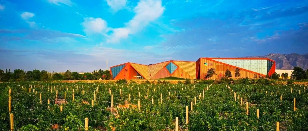 ChinaWineClub's tweet photo. From May 15 to 17, Ningxia Helan Mountain Wine Producing area with its 36 wineries will appear at the Dusseldorf International Wine and Spirits Exhibition in Germany. https://t.co/YvXYhkCMYD
