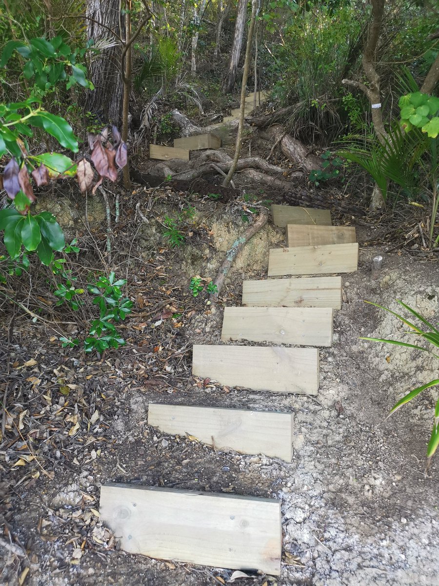 OmaruBay's tweet photo. Stairway to somewhere. #maketracks #waiheke #newzealand https://t.co/rsGB5eFxe7