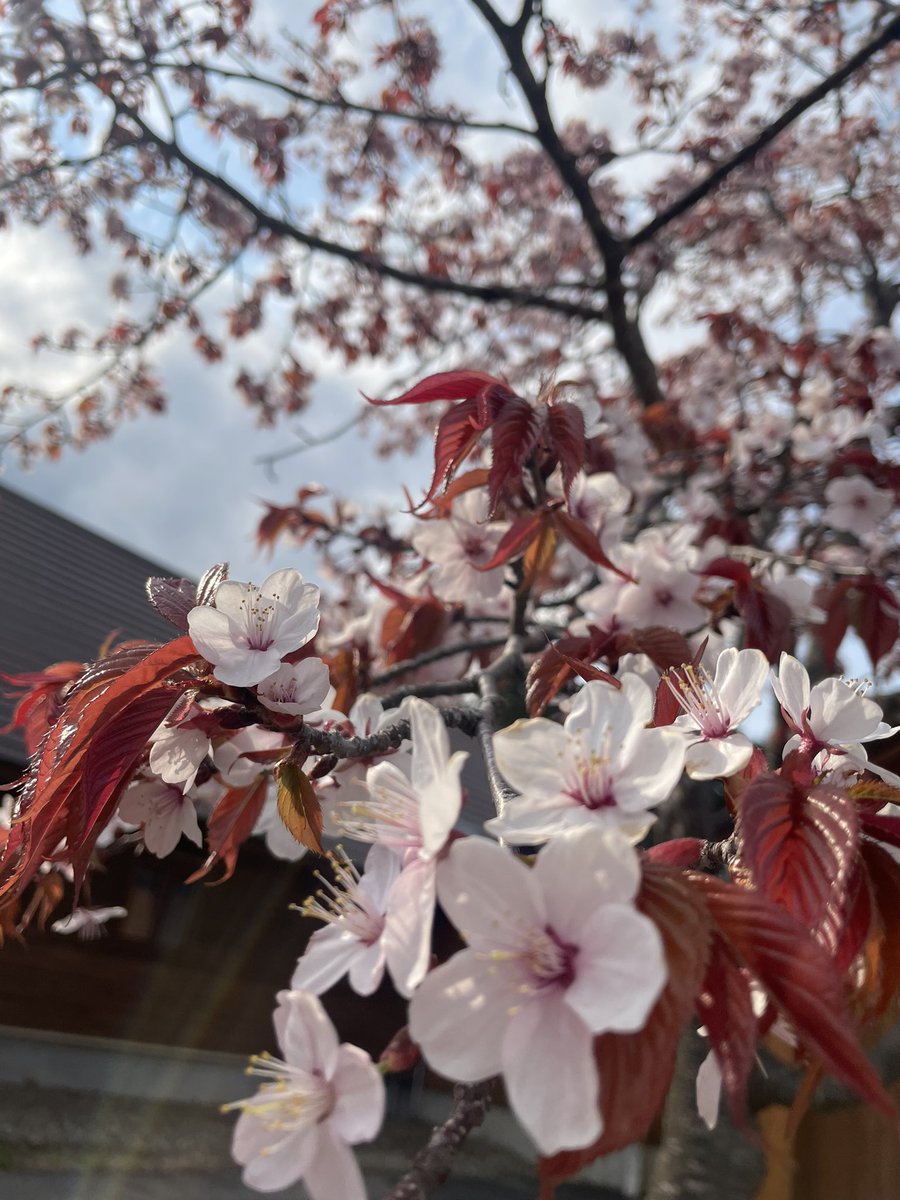 poconaru358's tweet photo. https://t.co/Lun9MAzYbg
