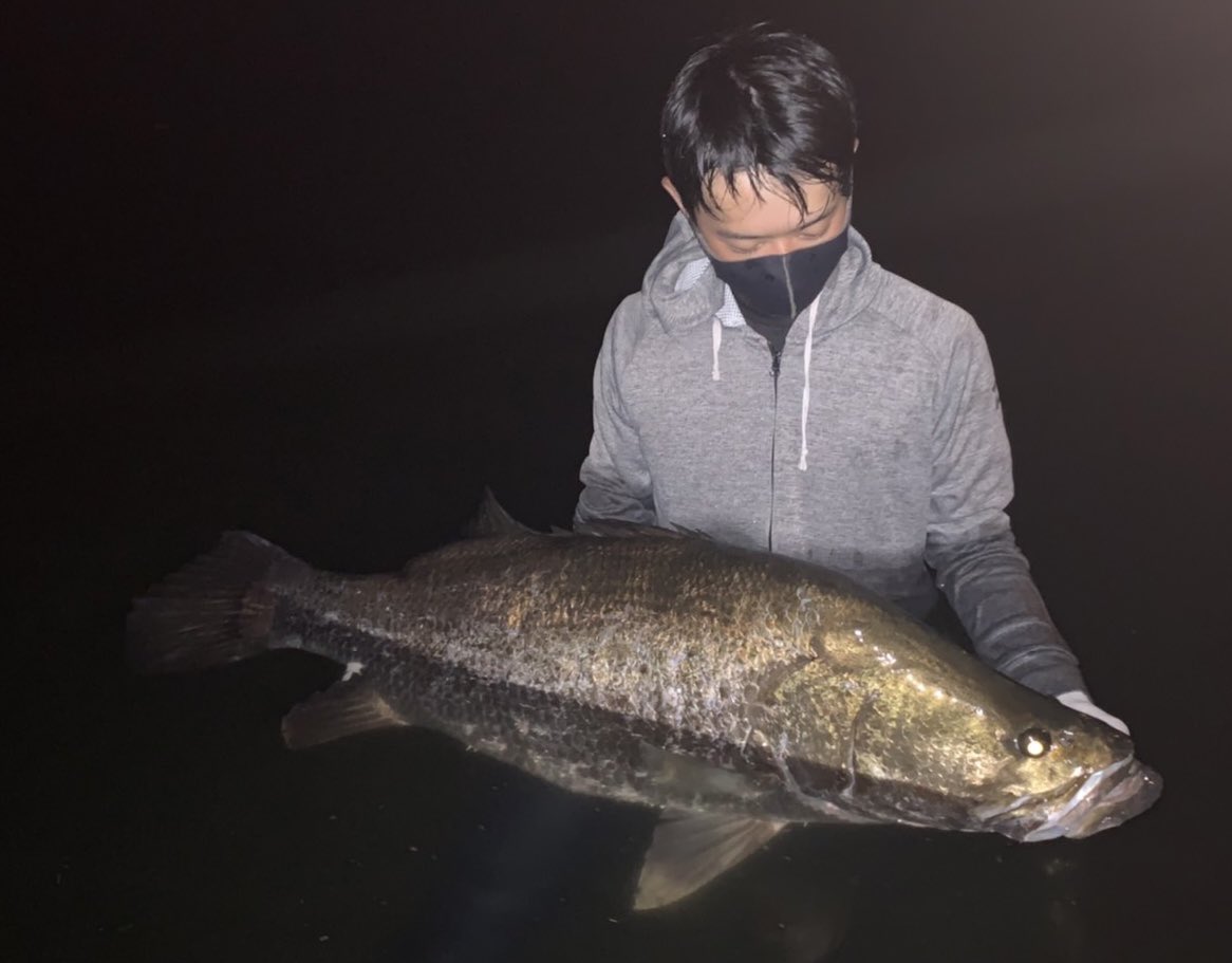 تويتر アカメ البحث في تويتر تويتر アカメ البحث في تويتر