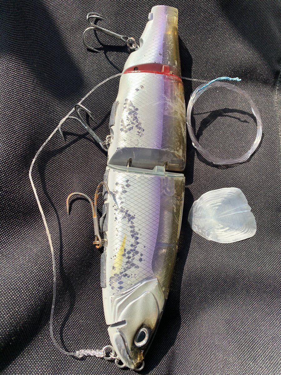 تويتر アカメ البحث في تويتر تويتر アカメ البحث في تويتر