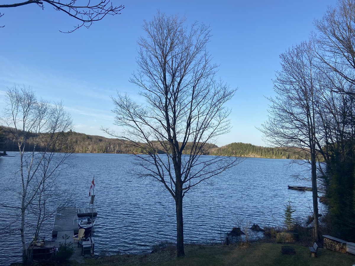 Jeff Adam tweet media