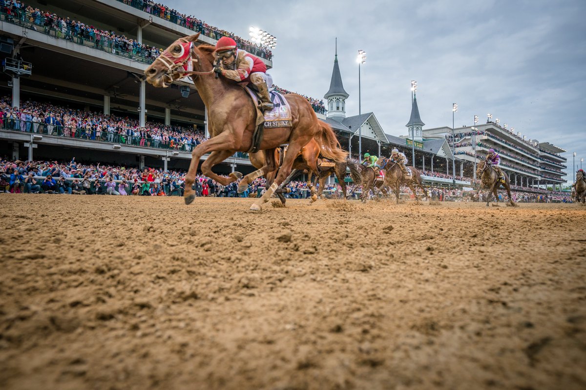 KentuckyDerby's tweet photo. A stunner under the Twin Spires.

#KyDerby https://t.co/mW2oTj33YA