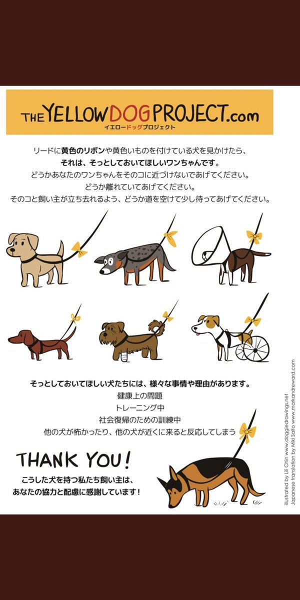 5476you's tweet photo. #yellowdogproject
#イエロードッグプロジェクト https://t.co/kwWHak1hFJ