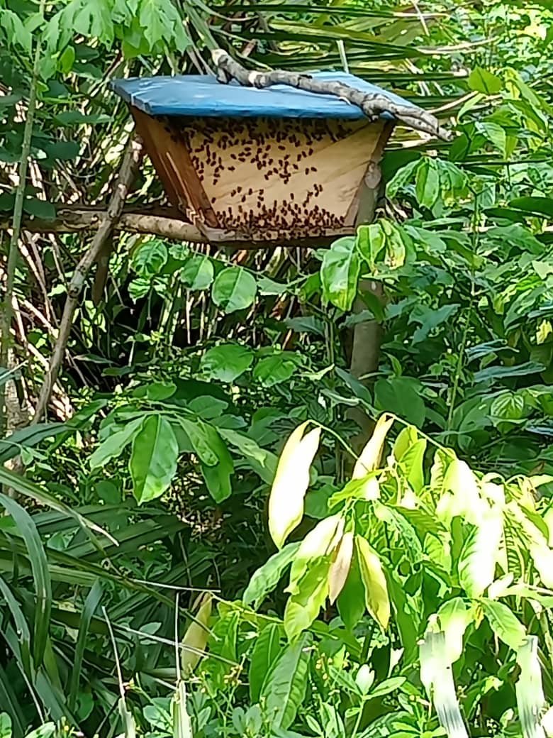 Uche_isieke's tweet image. @RuralWatchAfrik is using nature-based solutions and alternative businesses to combat #climateclimate while #eradicatingpoverty.
Strengthening the people's capacity to take care of their natural environment for food security, income,and sustainable rural development.
#development