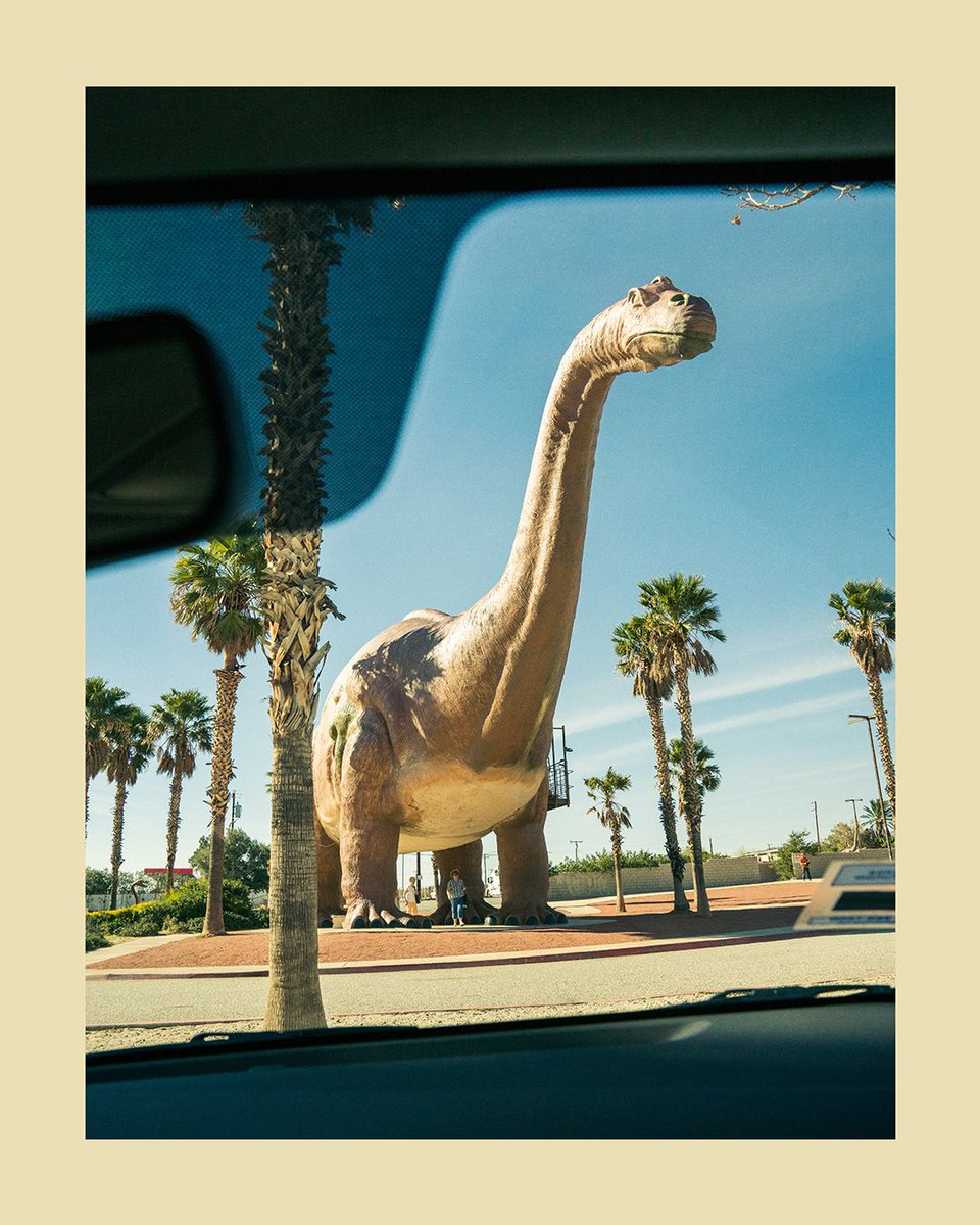 🦕