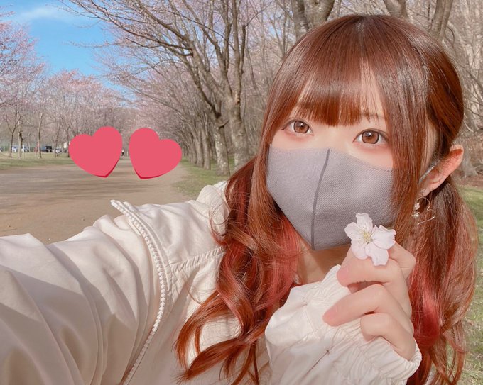 コスプレイヤーしほなのTwitter画像20