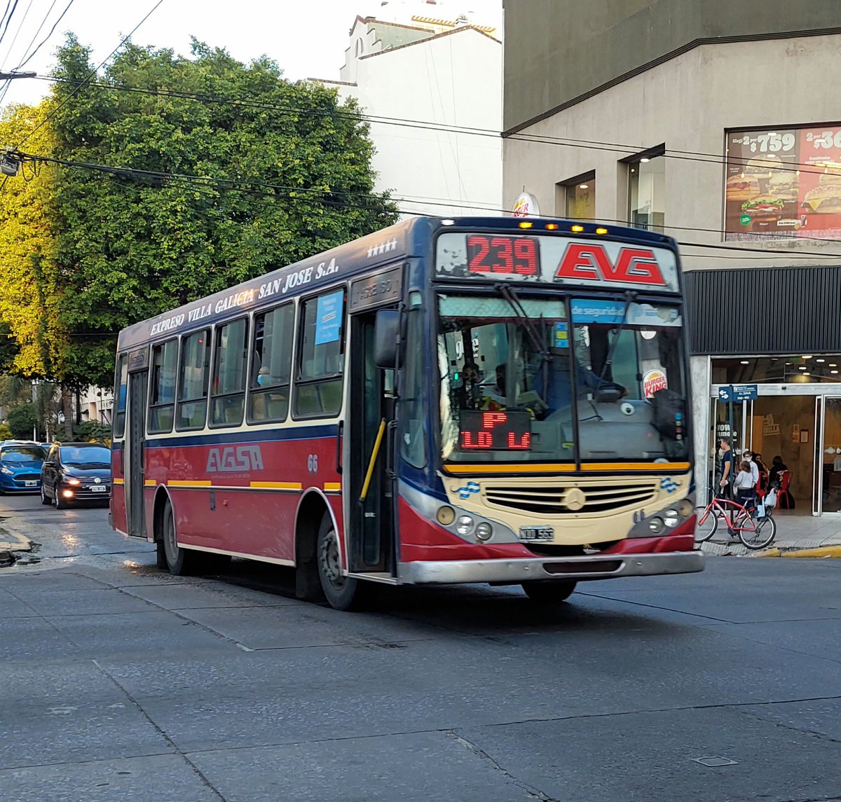 CiudadDeBondis's tweet photo. Comenzamos un nuevo #SabadoDeAportes con dos regresos.
En la zona sur del GBA, volvieron a funcionar como líneas en el cartel la #Linea239 y la #Linea436. No cambian los recorridos. https://t.co/CTiUugCRpv