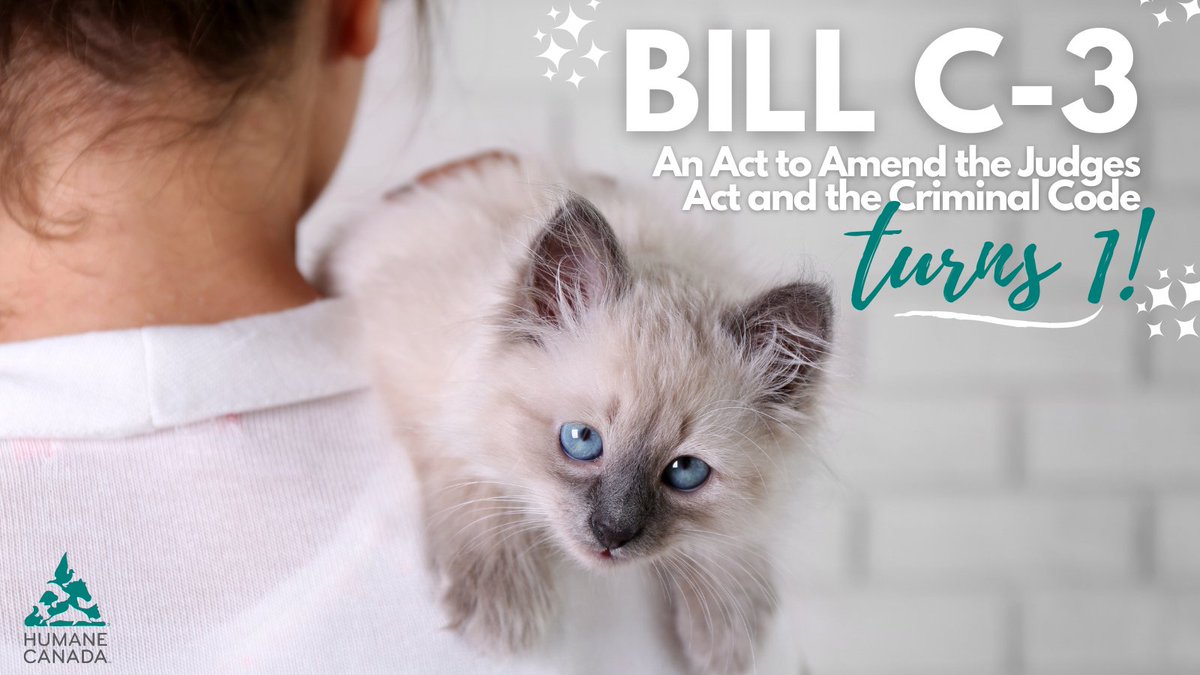 HumaneCanada's tweet photo. Happy ONE YR Bill C-3! 🎉 Due to #BillC3, Federal Judges are required to receive training on the #ViolenceLink, which is the evidence-based relationship between human &amp; animal abuse. We thank our government for putting the Violence Link and animal welfare on the agenda. https://t.co/RuK9PC8Dd7