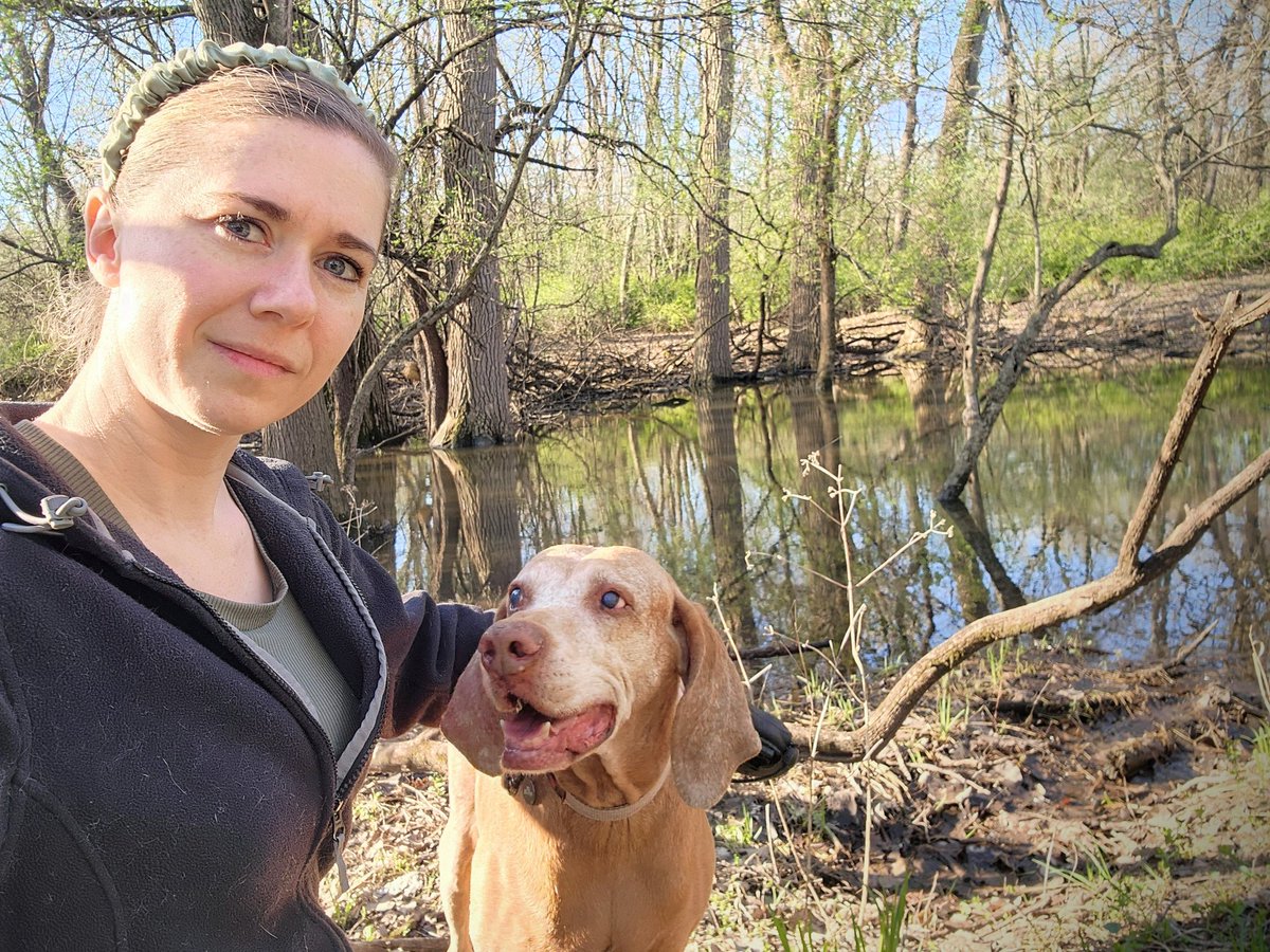 kayci_lee's tweet photo. Walk of choice today!
And man, did she roll in something smelly. That was a toxic drive home!
#vizsla #model #pretty #seniordog #hungarianpointer #swamp #wetlands #nudemodel #outdoors https://t.co/jucWW6qpad