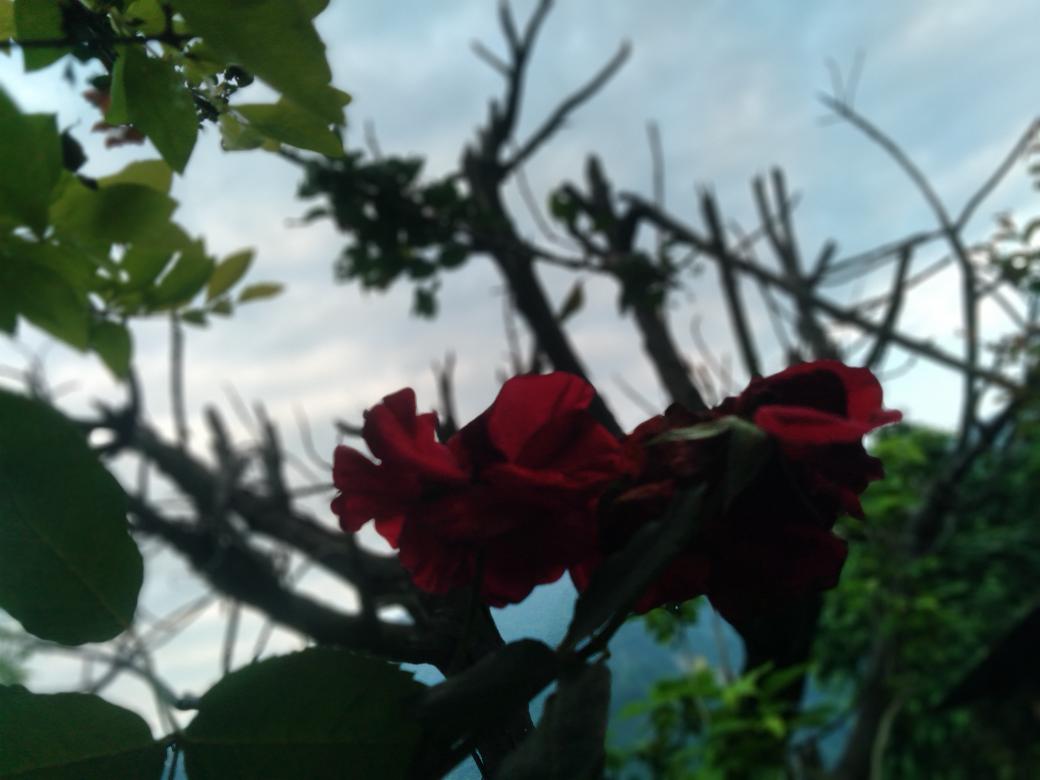 Chunku01347575's tweet photo. The treasure House is within u. Look within for the answer to ur heart's desire. https://t.co/fMxJoHnJrP