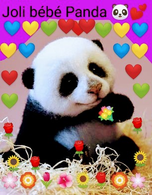 molinet_josiane's tweet photo. ~🌈🌞🐼 Happy Sunday to everyone ☕🍰💐 ! Take care of yourself 🌹🌻🌺🌼🏵️🌸🌷 !#goodmorning🐼 #HappySunday 🐼 #prettyPanda 🐼 #cute 🐼
#Pandas🐼 #PandaDay🐼 #Pandastory 🐼 #AnimalLovers🐼 #pandacute 🐼 #giantpanda🐼 #babypanda 🐼 ~ 😍🥰🤗😘🐼🌈 ~ https://t.co/4efLS7H5Ux