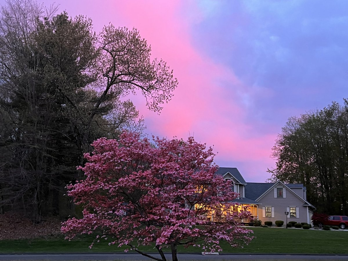 lynnsferrazza1's tweet image. #MayPatternChallenge It's a pink dogwood sunset