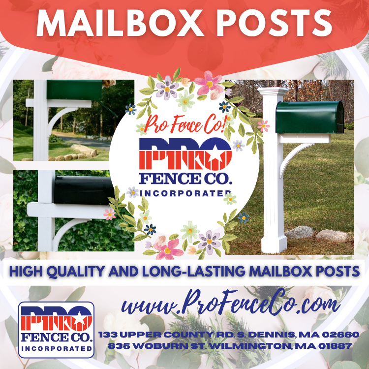 ProFenceCO1's tweet image. ﹡ HIGH QUALITY MAILBOX POSTS ﹡

In need of a high-quality and long-lasting mailbox post? Pro Fence has you covered! We offer a variety of mailbox posts to choose from including wood and vinyl options. 

#CapeCodFencing #WilmingtonFencing #MailboxPosts

bit.ly/3f6NBYr