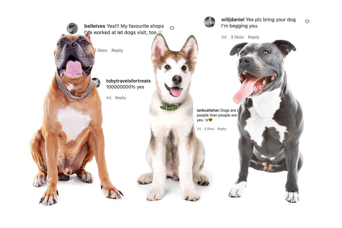 sprudge's tweet photo. We don't deserve dogs, but they deserve all the puppaccinos.  https://t.co/a7StBKGykw https://t.co/HRZeV9phVS