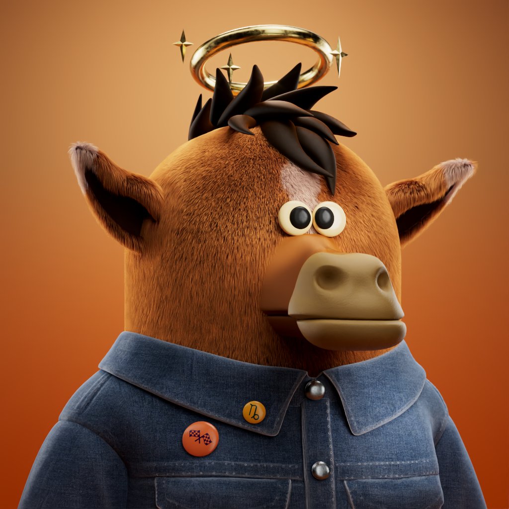 Ameer Hussain tweet media