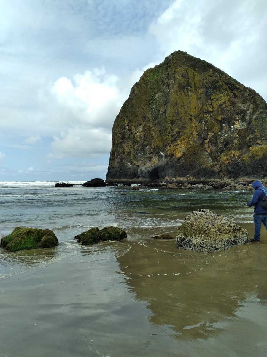 _Osmorica_'s tweet photo. #cannonbeach https://t.co/GHwnqg5kQX