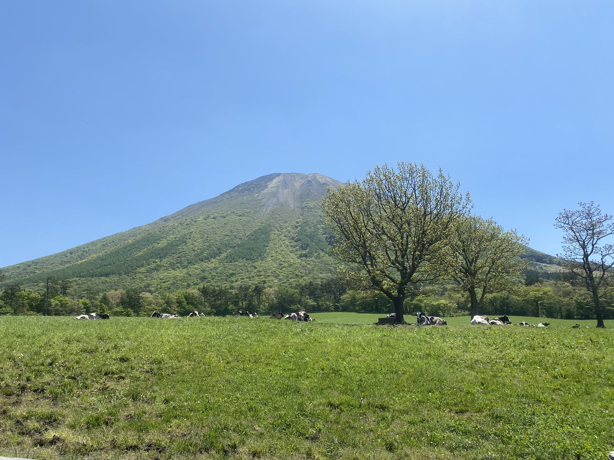 大山の濃厚ソフトクリーム
