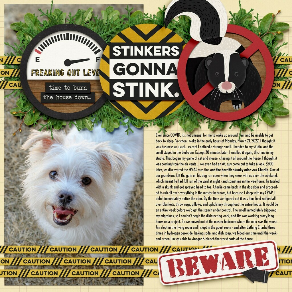 angiekey's tweet photo. Photos + words + art = magic! My four most recent layouts feature four brand new #digiscrap kits released at @sweet.shoppe.designs this weekend for (inter)National Scrapbooking Day:

Pesky Pests from Erica Zane &amp; @clevermonkeygraphics
Let Down Your Hair … https://t.co/GL1RmbLaA3 https://t.co/5sDiTjQNoQ