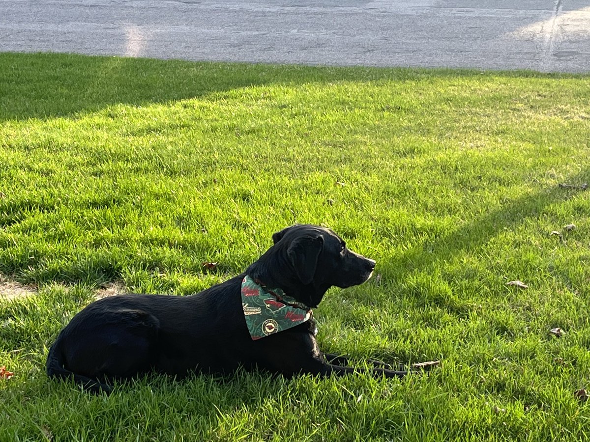 mnewinski's tweet photo. Patiently waiting for game 4! ⁦@mnwild⁩ https://t.co/T8vHvFaHrp