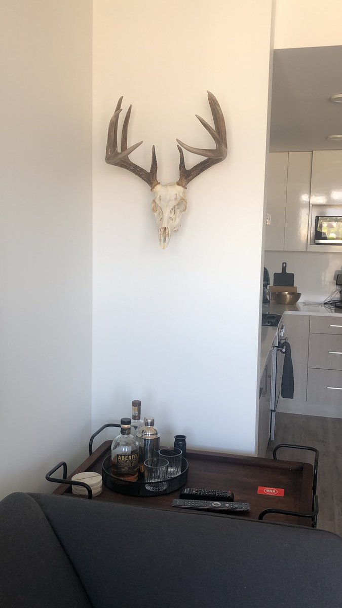 ConnorODEY's tweet photo. Been waiting a long time to hang this bad boy on the wall!  #whitetail #Saskatchewan https://t.co/UOVxkYnYGX